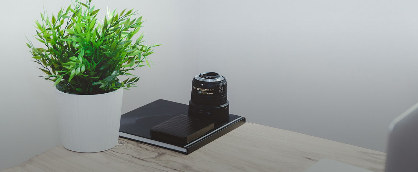 野鳥撮影の魅力と、|失敗しないための基本テクニック